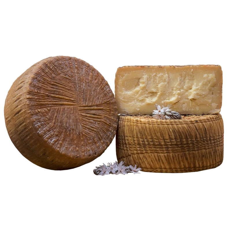 Formaggio sardo